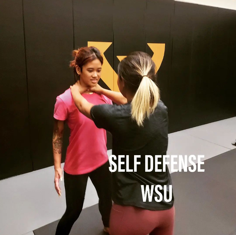 Teaching self defense 