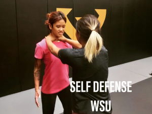 Teaching self defense 