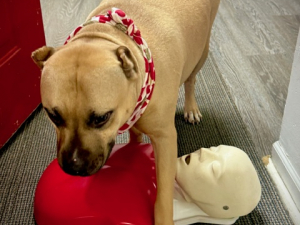 Foxhole AED Fundraiser and Hands-Only CPR Event