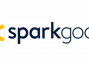 Walmart Spark Good and Walmart Rochester Hills Awarded Us an $800 Grant